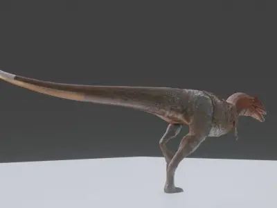 Allosaurus t - rex Low-poly 3D model