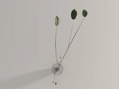 Glass vase with branches - Interior plant pot 3D model