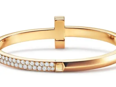 T1 Wide Diamond Hinged Bangle 3D print model