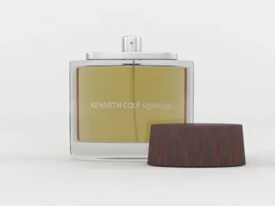 Kenneth Cole signature 3D model