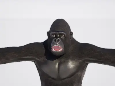 Gorilla 3D model shop