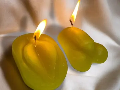 Kit Mold anatomy penis and vagina 3D print model