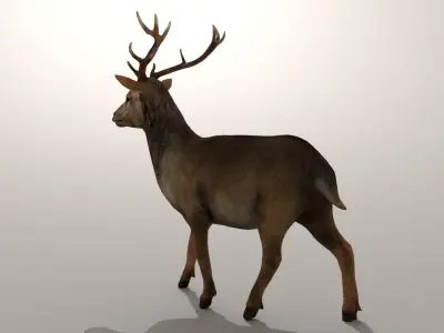 Game Ready Deer Model with antlers Low-poly 3D model