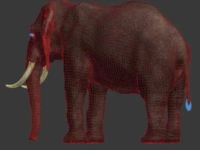 Elephant Rig -Maya- Max Low-poly 3D model