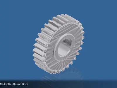 30-Tooth Spur Gear 03 3D print model