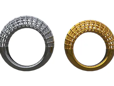 Luxury Cage Rings Jewelry 3D print model