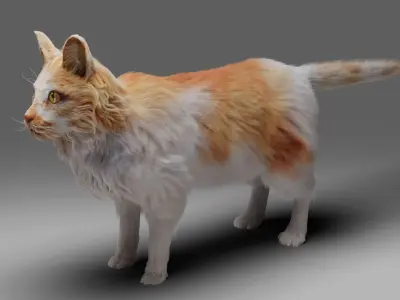 Fur Calico Cat V02 No Rigged Low-poly 3D model