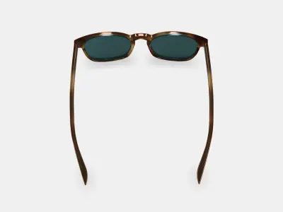 Elio Sunglasses in Black Walnut Low-poly 3D model
