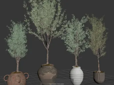 Indoor Plant olive Set 01 3D model