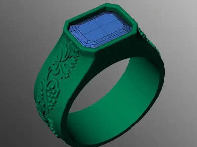 Ring sp12 3D print model