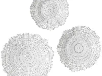 Uttermost Ocean Gems Wall decor 3D model
