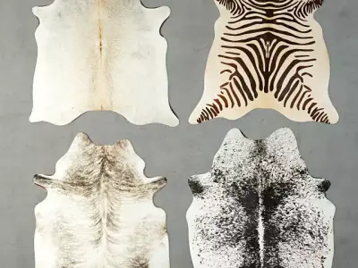 Rugs 4 zebra skin rug 3D model