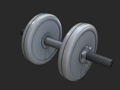 Sport Training Dumbbell highpoly model 3D model