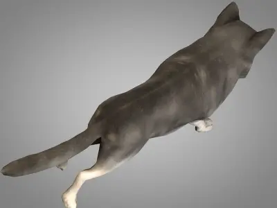 Wolf or Werewolf Low-poly 3D model