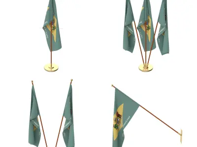 Delaware Flag Pack 3D model