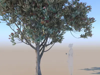 Bronze loquat eriobotrya deflexa young 3D model