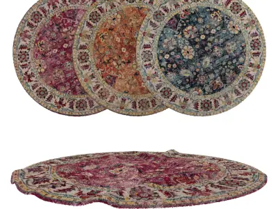 Round Rug Set 277 3D model