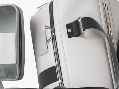 Collection of bags and backpacks for travel 3D model