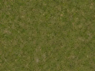 American Road Left Curve Low-poly 3D model