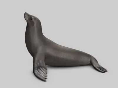 Sea Lion V2 3D model