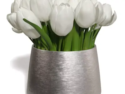 White Sulip In Silver Vase PBR 3D model