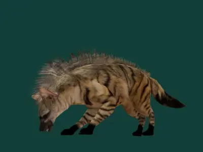 Aardwolf Hyena Animal  Low-poly 3D model