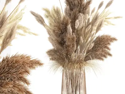 Bouquet of dried white reeds in a Vase 146 3D model