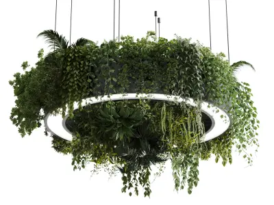 circle pot light pendant - plant light hanging 13 Low-poly 3D model