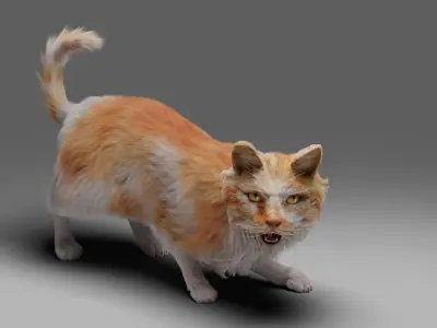 Fur Cat Calico  V02 Rigged Low-poly 3D model
