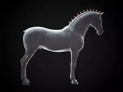 Horse Andalusian  - TPose 3D model
