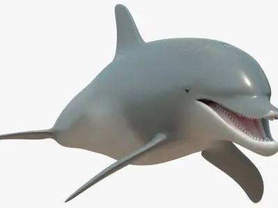 4K Textures Dolphin No Rigging Low-poly 3D model