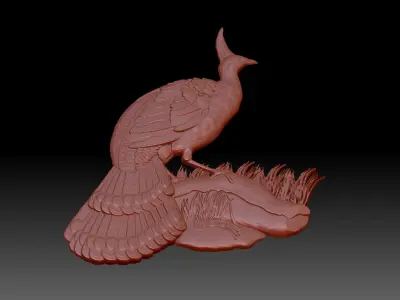 Peacock 3D print model