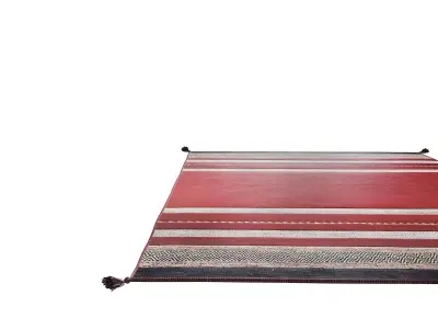 Andes Ruby Red Cotton Chenille Handmade Area Rug 3D model