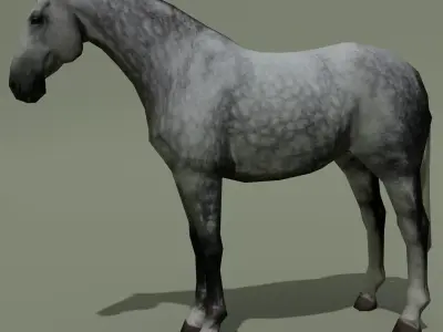 LowPoly Horse B Dapple grey Low-poly 3D model