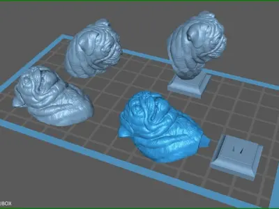 Pug bust version 2 3D print model
