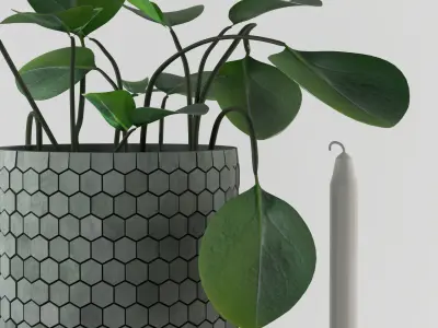 Decorative Set with Desert Privet Plant 3D model