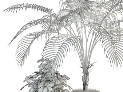Plants collection 86 3D model