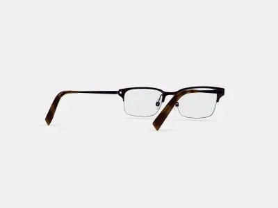 James Eyeglasses in Carbon 3D model