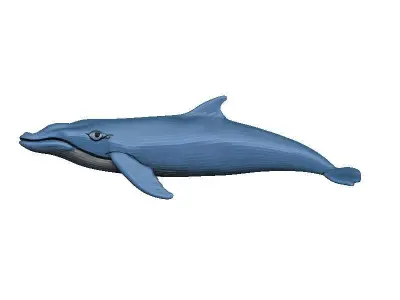 Whale Low-poly 3D model buy