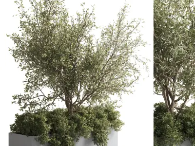 Concrete Box Plants on stand - indoor plant set 432 Low-poly 3D model