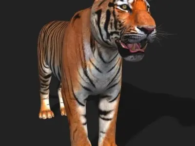 Awesome Tiger - 3d model 3D model