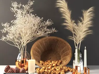 Dried Pampas grass gray  3D model