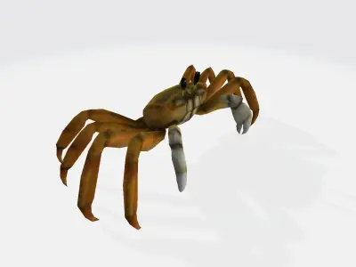 Crab 3d spider 3D model