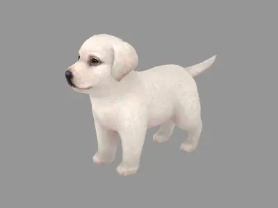 Cartoon pet puppy - Labrador - baby dog Low-poly 3D model