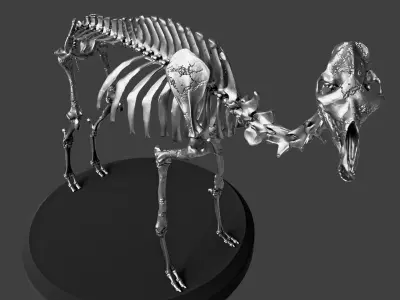 Silver Camel Skeleton 3D model