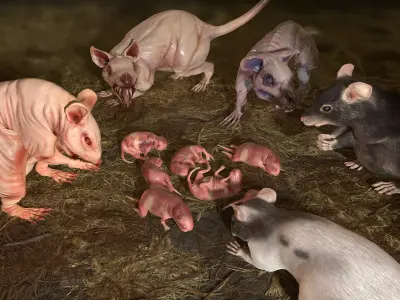 Rats Complete Pack Low-poly 3D model