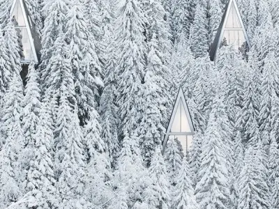 PRIMEVAL SYMBIOSYS TREE HOUSE - REVIT 3D MODEL Low-poly 3D model