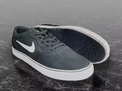 NIKE CHRON 2 SB 3D SHOES 3D model