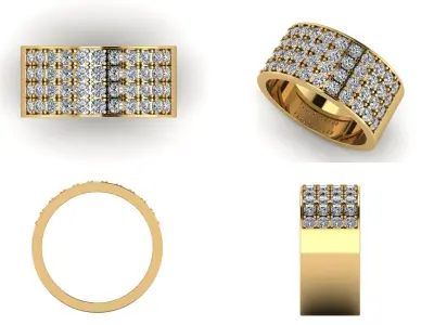 Ring bi 24 3D print model