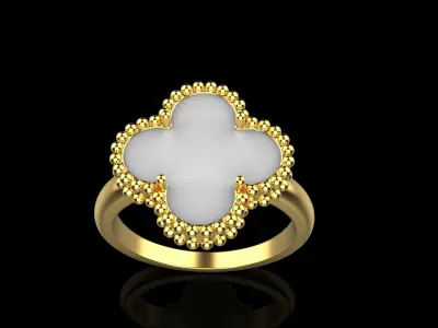 Ring model 576 3D print model
